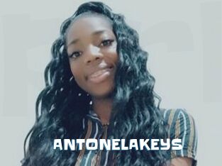 ANTONELAKEYS