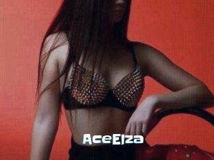 Ace_Elza