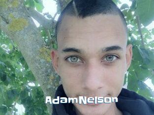 Adam_Nelson