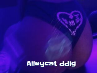 Alleycat_ddlg