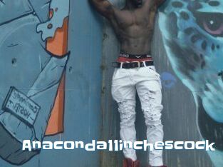 Anaconda11inchescock