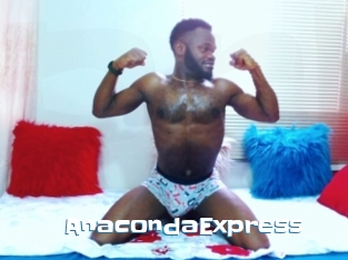AnacondaExpress