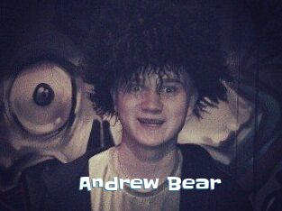 Andrew_Bear