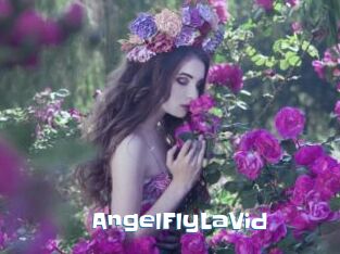 AngelFlyLaVid
