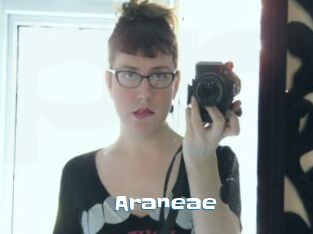 Araneae