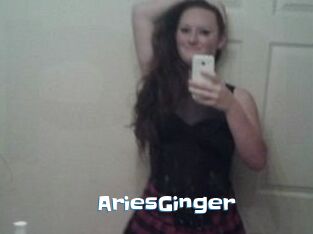 AriesGinger