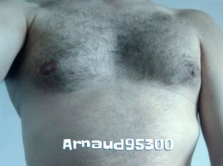 Arnaud95300