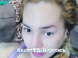 AsianTS_Bigcock