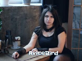 AviceBird