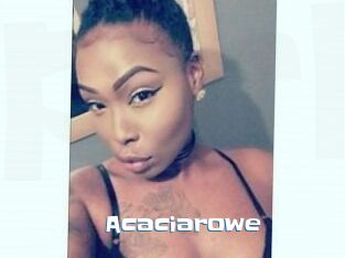 Acacia_rowe