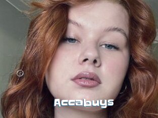 Accabuys