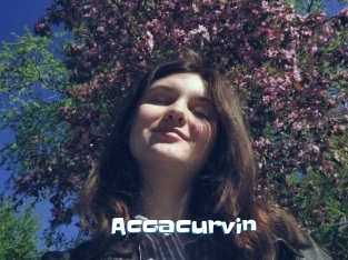 Accacurvin