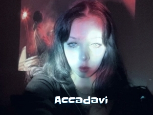 Accadavi