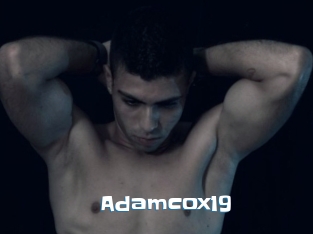 Adamcox19