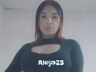 Aleja23