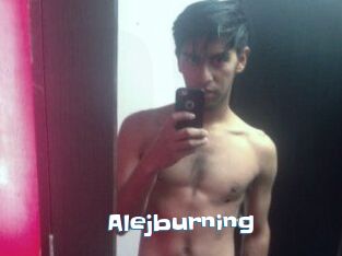 Alejburning