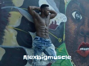 Alexbigmuscle