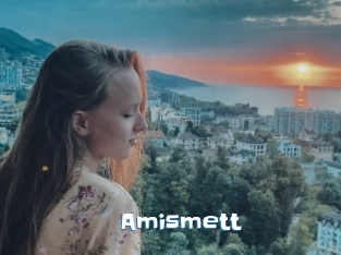 Amismett