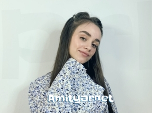 Amityarnet