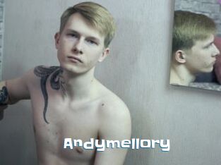 Andymellory
