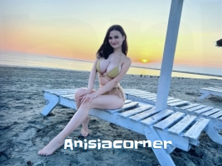 Anisiacorner