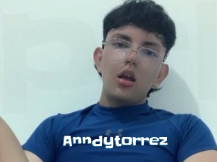 Anndytorrez