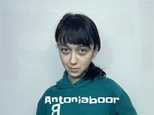 Antoniaboor