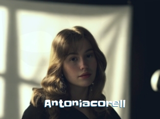 Antoniacorell