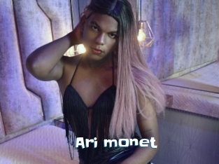Ari_monet
