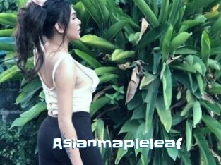 Asianmapleleaf