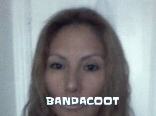 BANDACOOT
