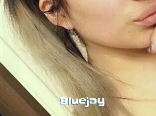 Blue_jay