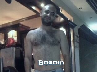Bosom