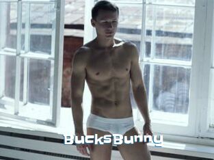 BucksBunny