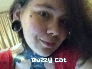 Buzzy_Cat
