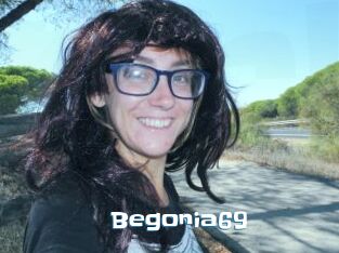 Begonia69