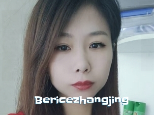 Bericezhangjing