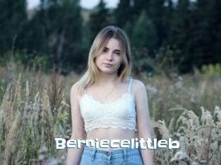 Berniecelittleb