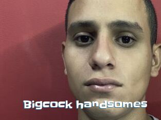 Bigcock_handsomes