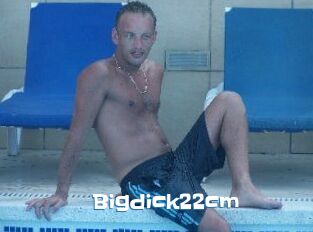 Bigdick22cm