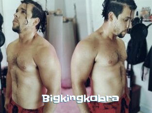 Bigkingkobra