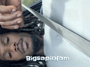 Bigsapiofam