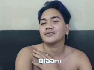 Blaam