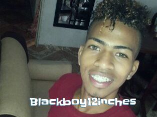 Blackboy12inches