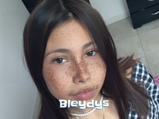 Bleydys