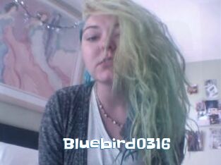 Bluebird0316