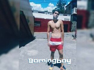 Borningboy