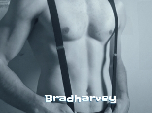 Bradharvey
