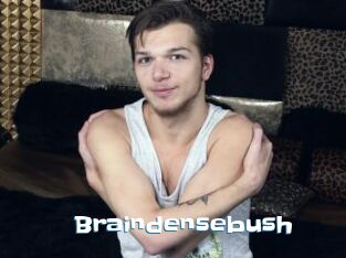 Braindensebush