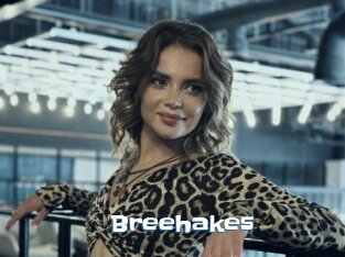 Breehakes
